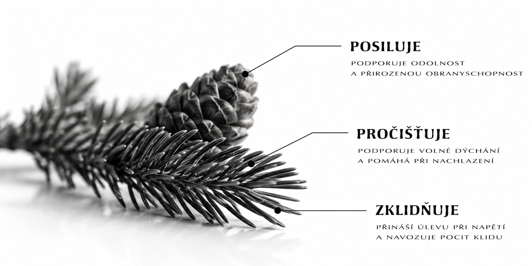 Makro fotografie rostlinného oleje
